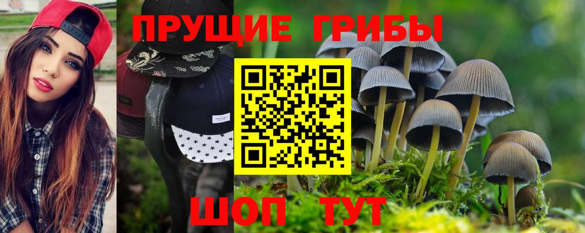 Екатеринбург  Псилоцибиновые грибы мухоморы  Вход с VPN 
