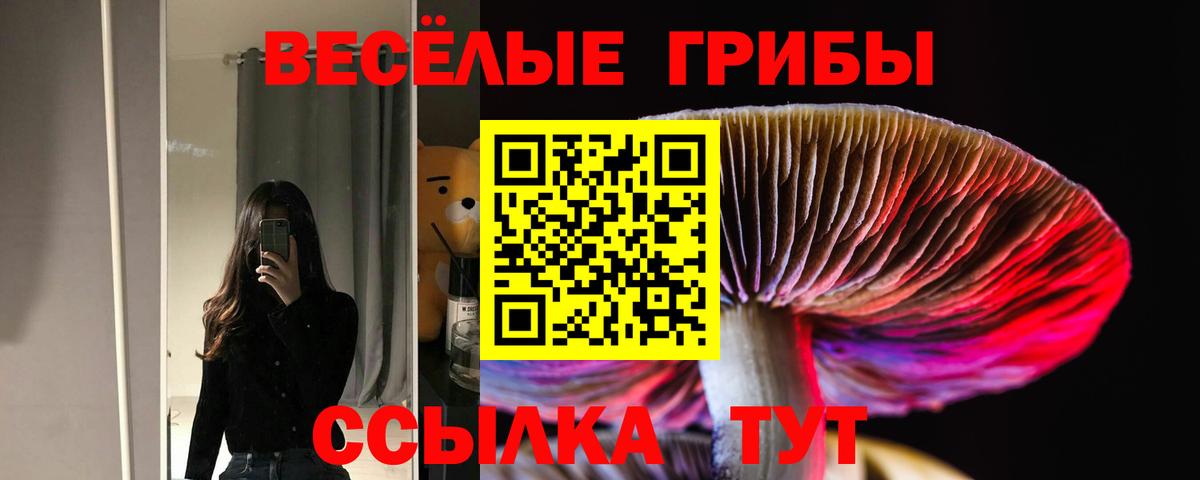 Псилоцибиновые грибы прущие грибы Екатеринбург